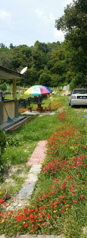 Kuntum Cottage Bed & Breakfast Kampung Tanjung Ipoh Extérieur photo